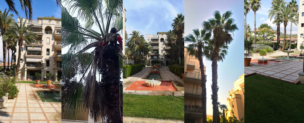 creation-entretien-jardin-jardinier-Hyeres-83400-Carqueiranne-83320-Pradet-Var-83