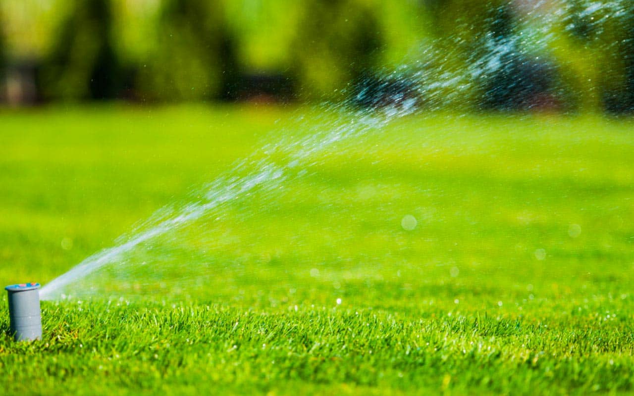 installation-arrossage-automatique-systeme-irrigation-Hyeres-Var-83400
