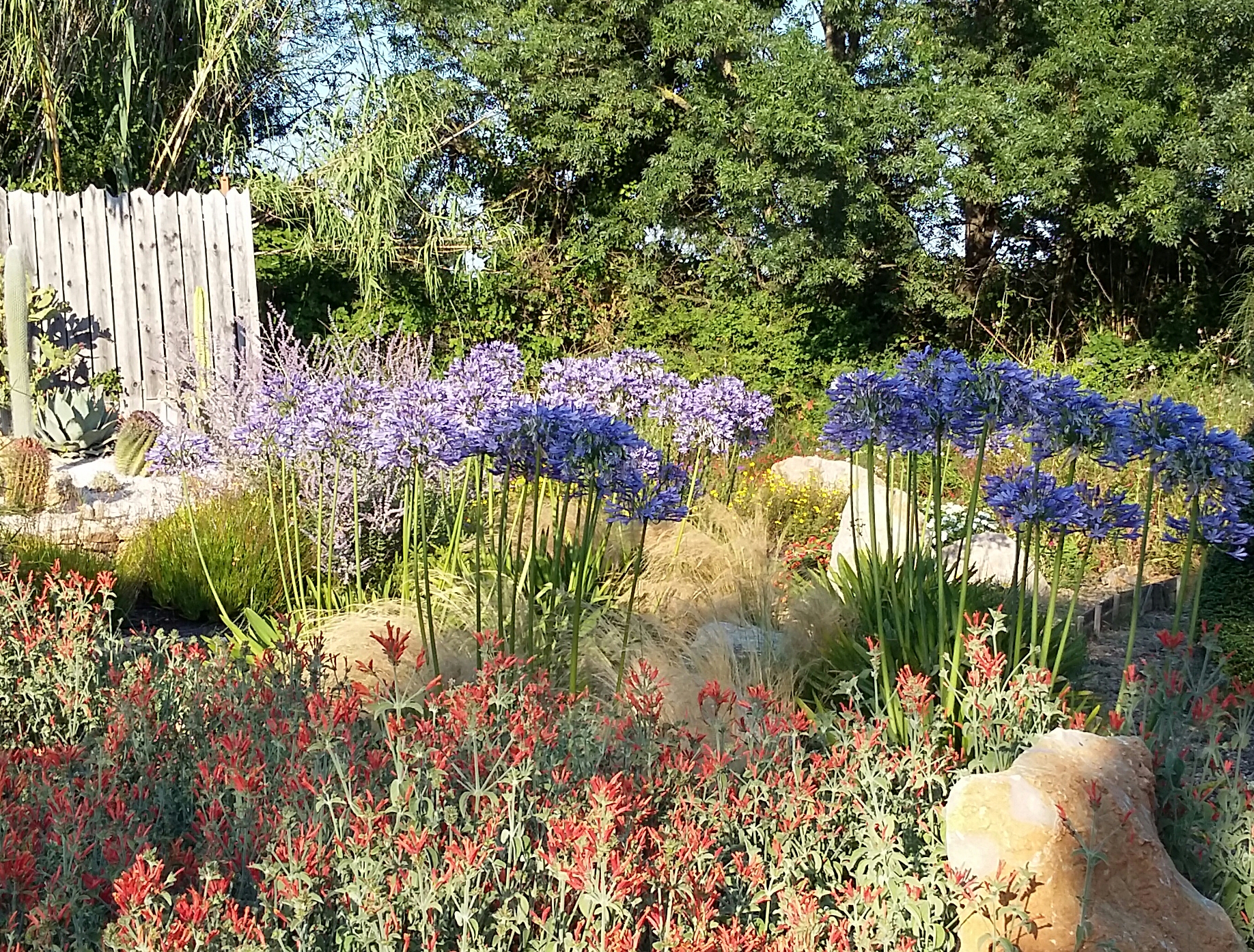 creation paysagiste jardinier hyeres var 83