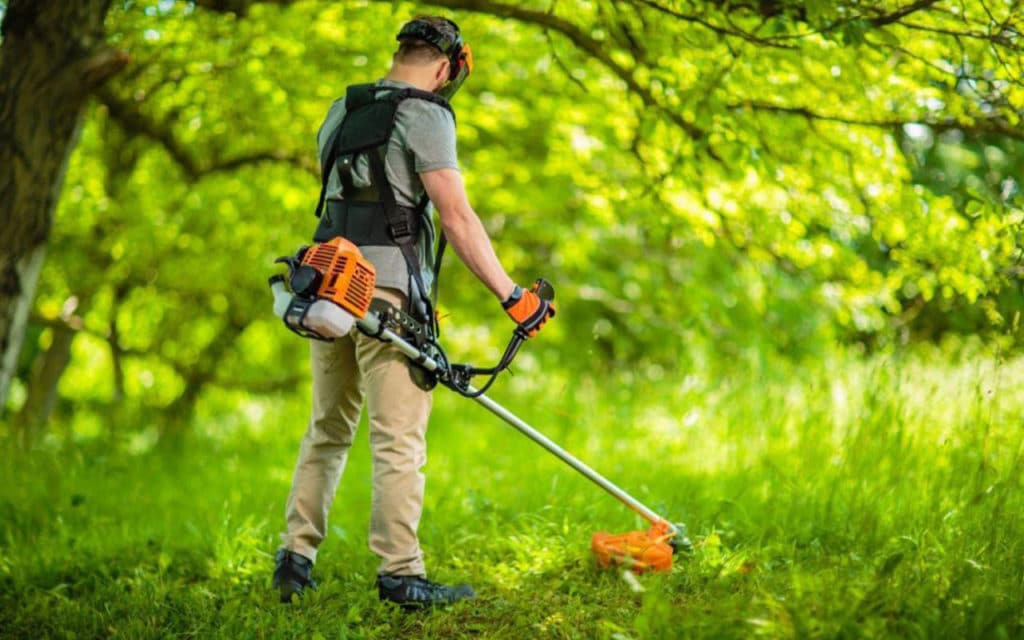 débroussaillage terrain jardin var 83
