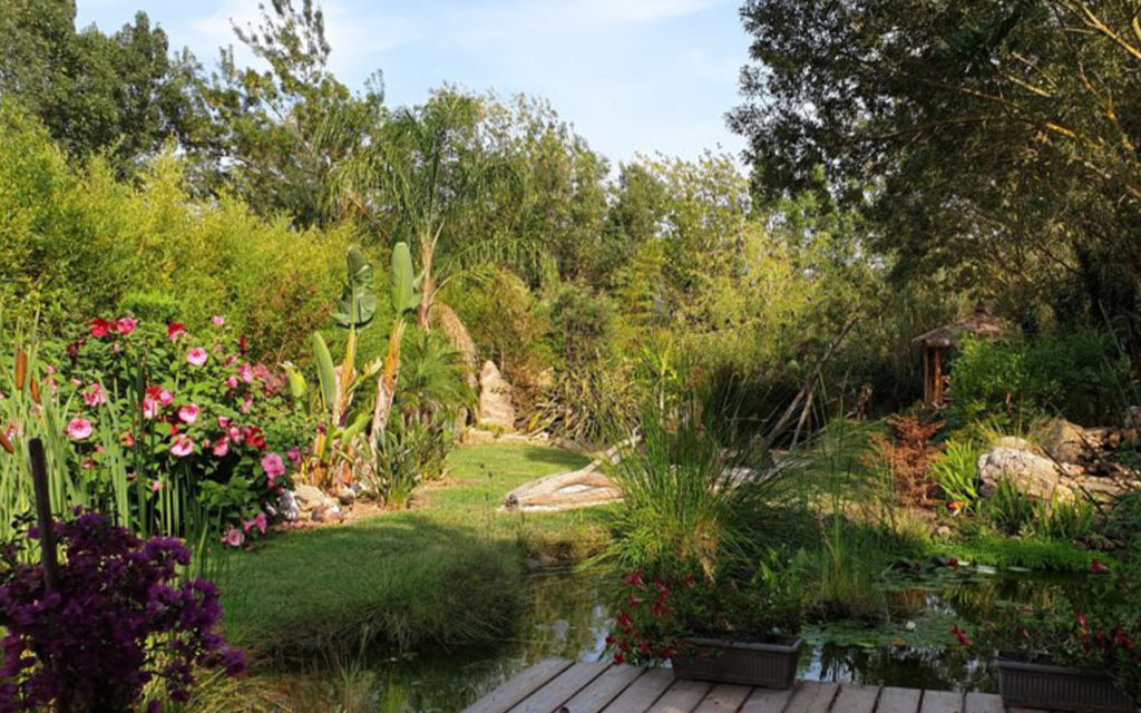 création entretien jardin