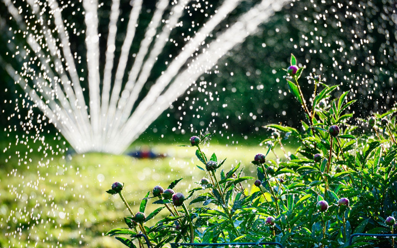 Installation d’Arrosage Automatique à Hyères (Var 83)