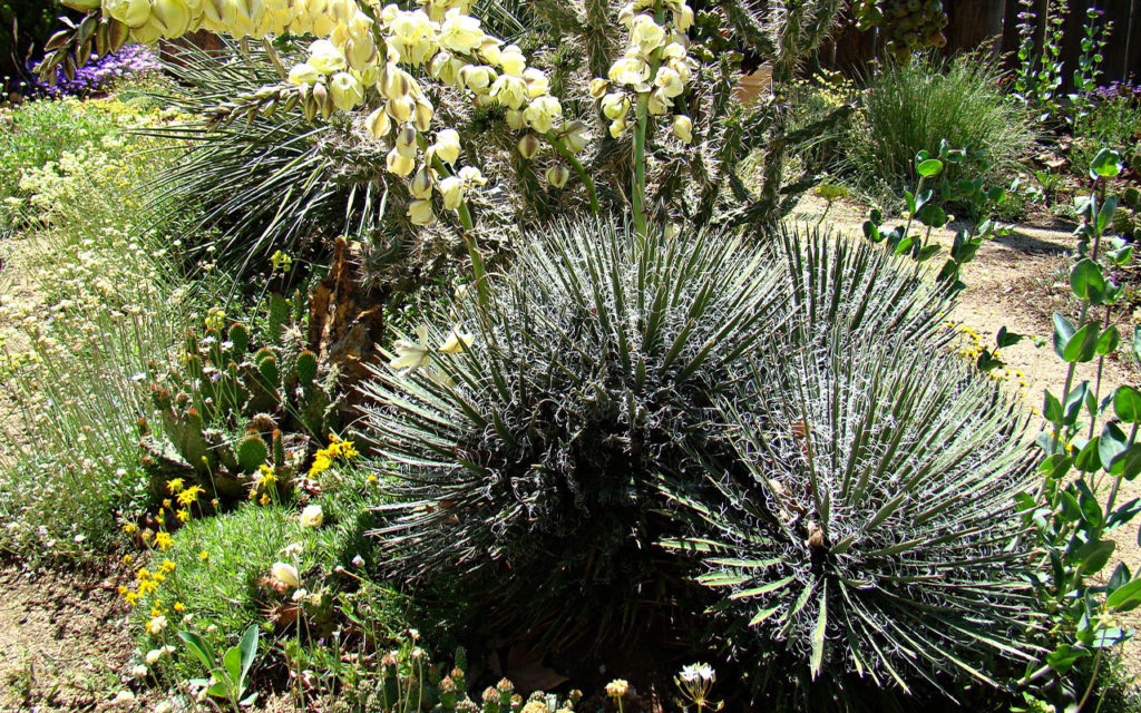 création jardin