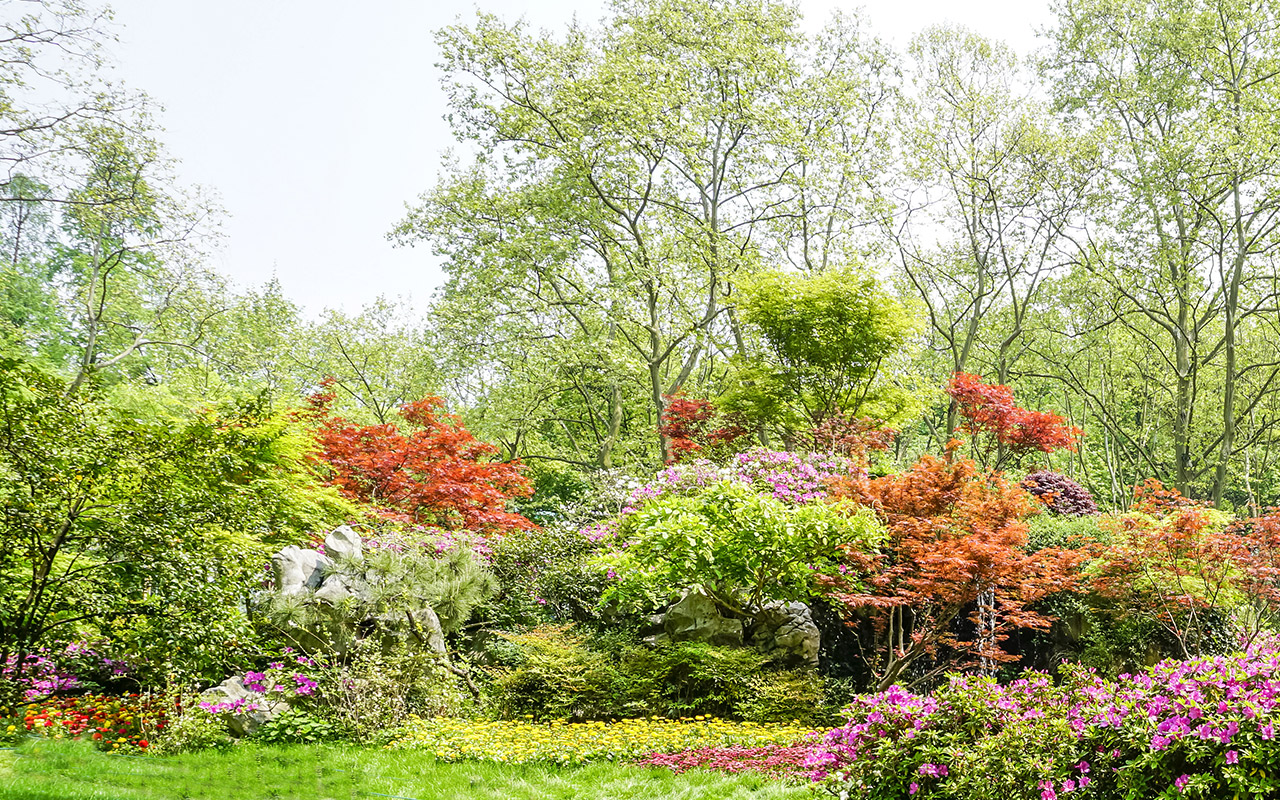 Création de jardin dans le Var 83 : comment avoir un jardin fleuri