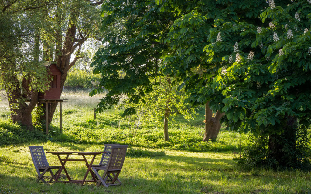 Entretien jardin var 83 favoriser croissance et sante des arbres