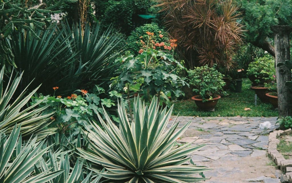 jardinier paysagiste au lavandou