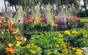 création jardin var